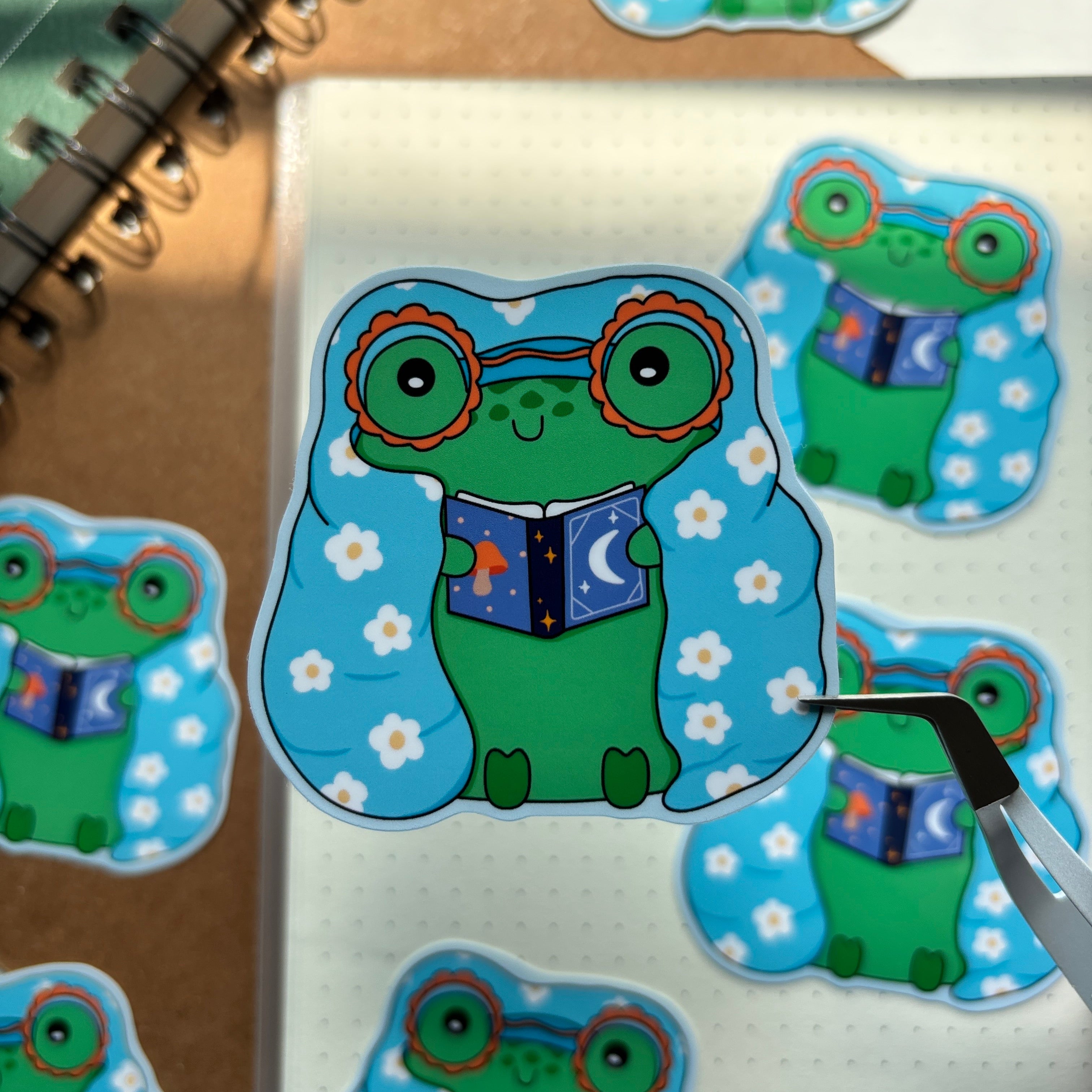 Blankie Froggy Reading