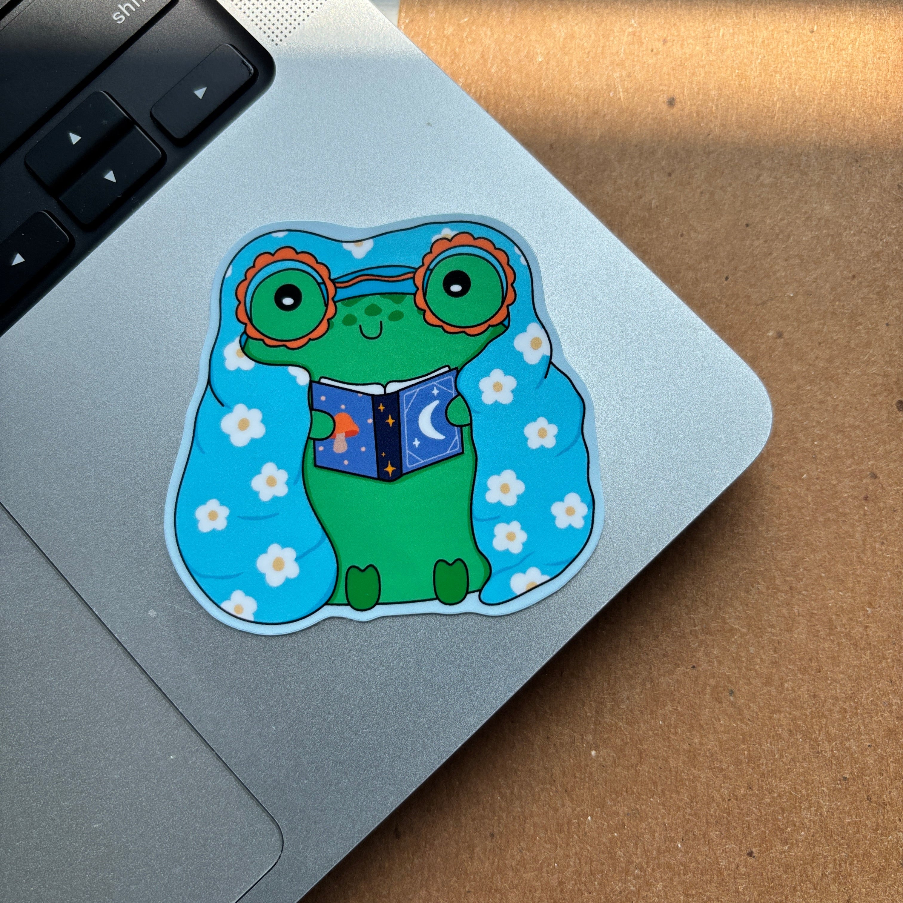 Blankie Froggy Reading