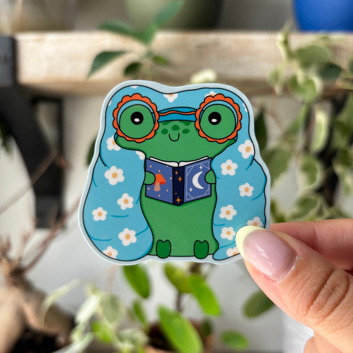 Blankie Froggy Reading