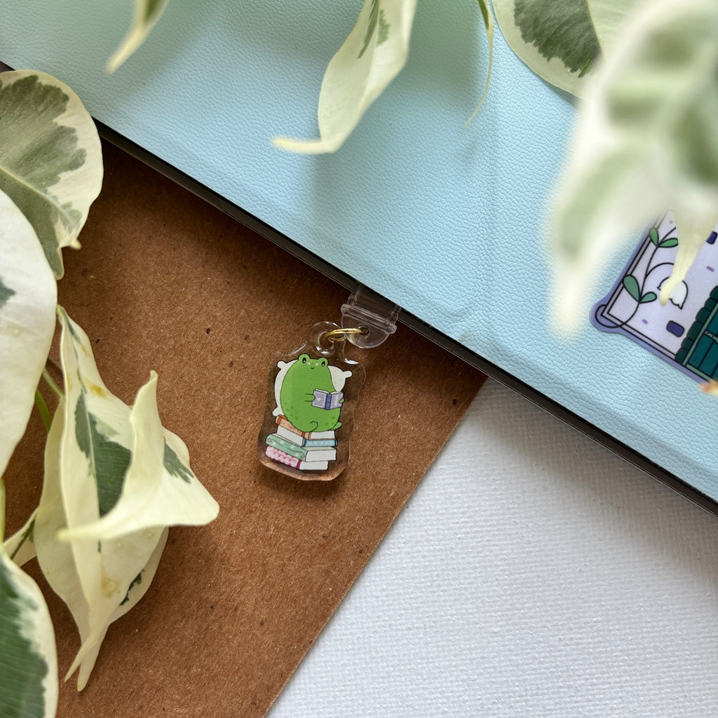 Cute Frog Reading USB-C Dust Charm