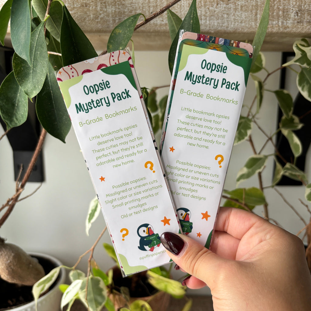 Oopsie Mystery Bookmark Bag | 3 bookmarks