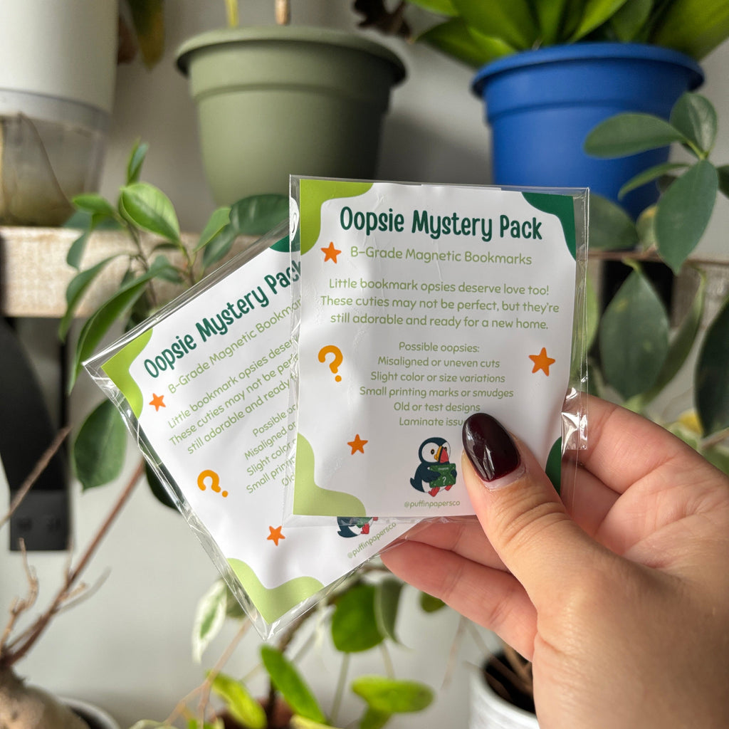 Oopsie Mystery Bookmark Bag | 3 bookmarks