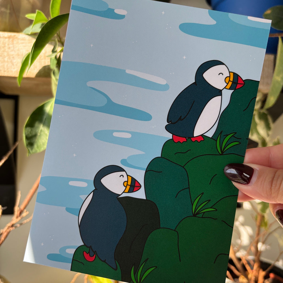 Puffins on the Coast