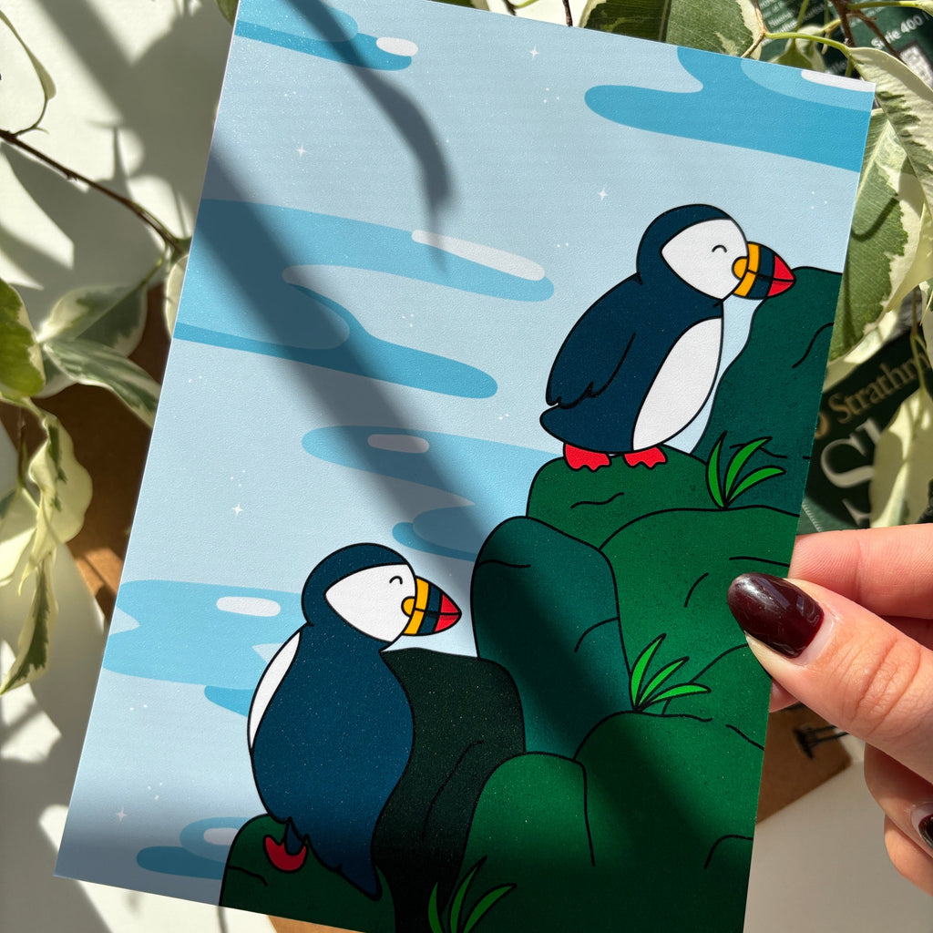Puffins on the Coast