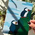Puffins on the Coast