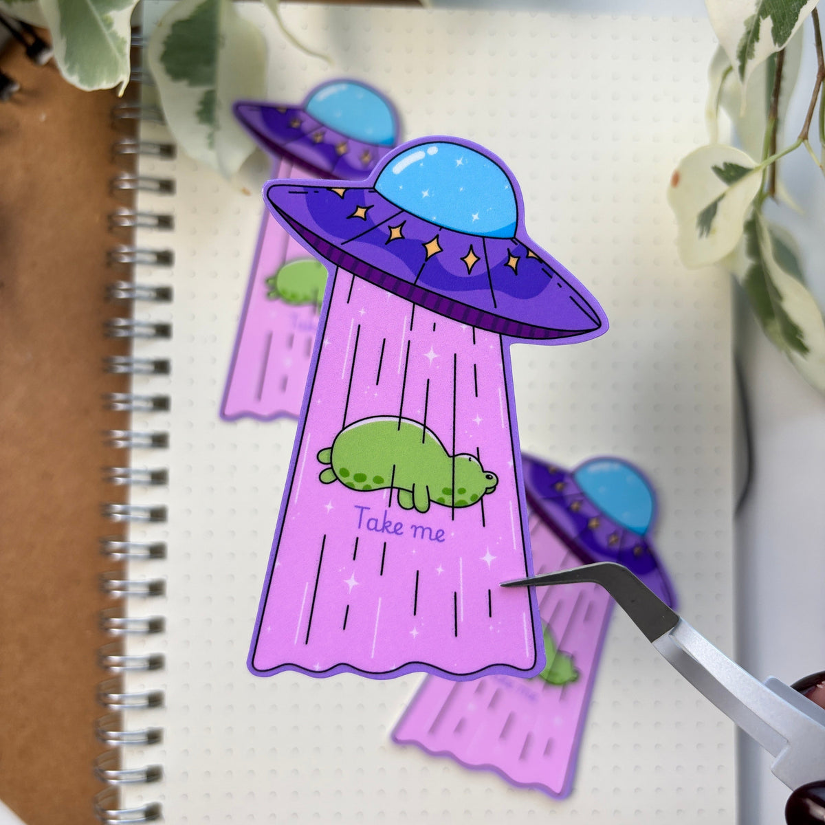 Take Me Froggy Sticker