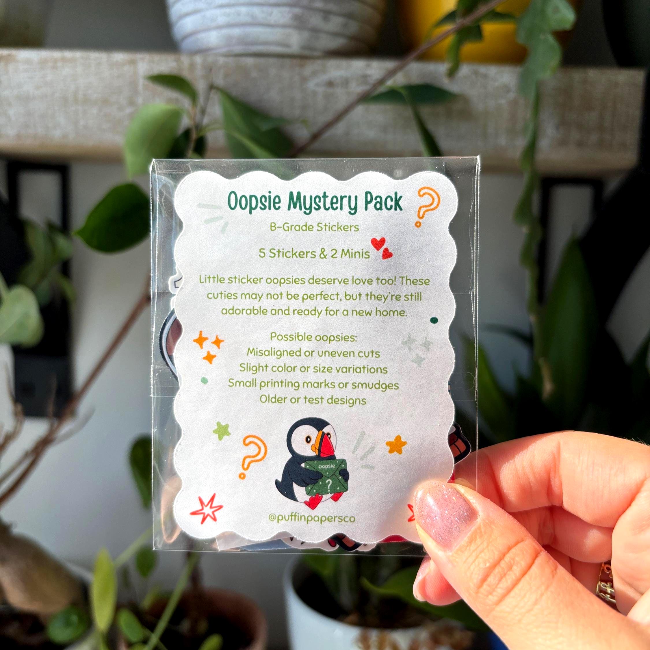 Oopsie Myster Sticker Bag